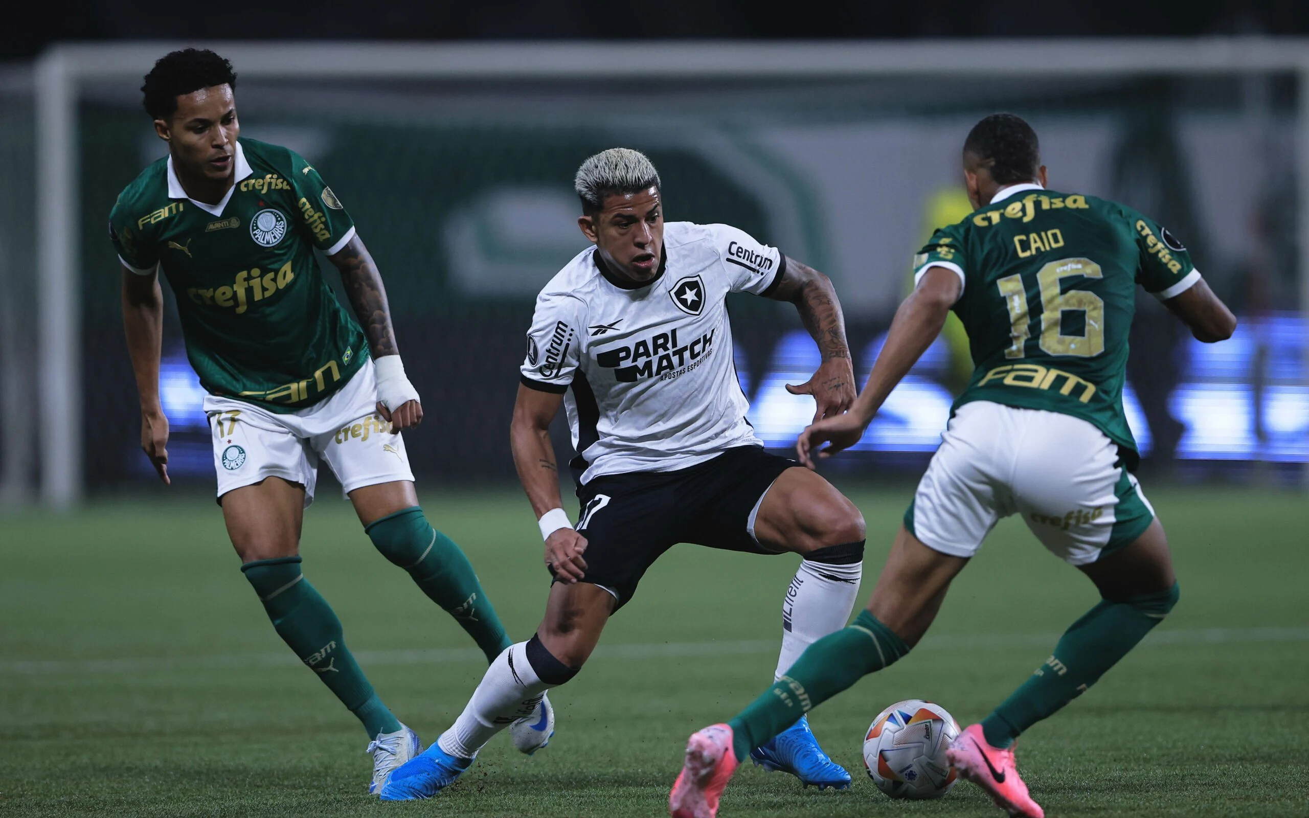 Palmeiras e Botafogo se enfrentam hoje em duelo decisivo