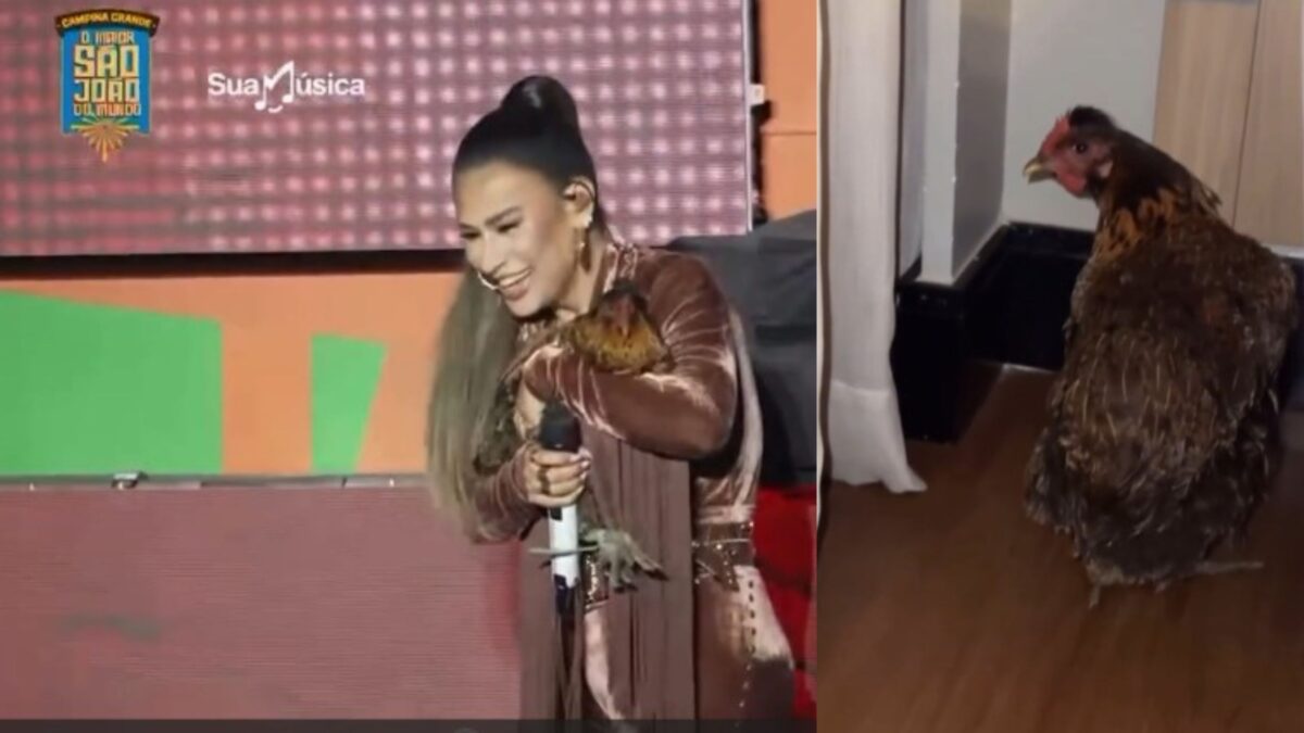Simone Mendes ganha galinha de fã durante show em Campina Grande e adota animal como mascote