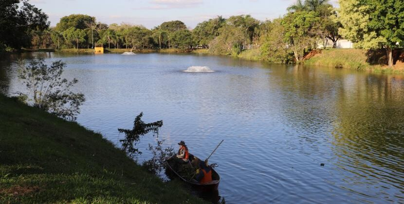 Mogi Mirim Lança Licitação para Limpeza do Lago do Zerão Atingido por Alface-d’água