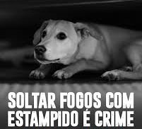 Fogos com estampido são proibidos em Mogi Guaçu