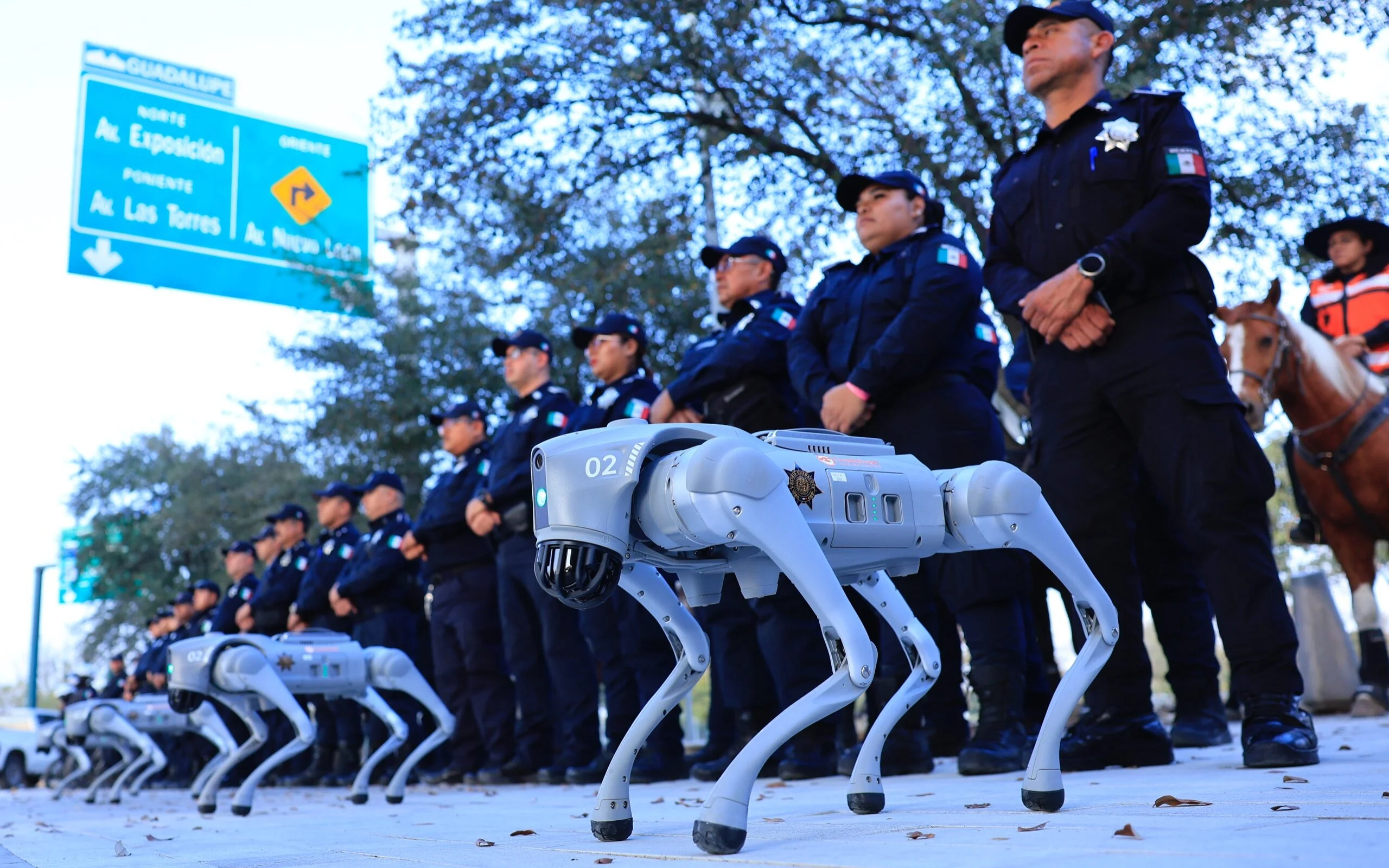 Cães-robôs vão patrulhar Copa em Guadalupe