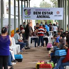 Mutirão castra 300 pets em Mogi Mirim