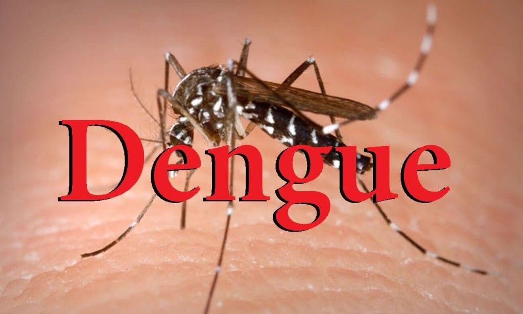 Mogi Mirim vence batalha contra dengue