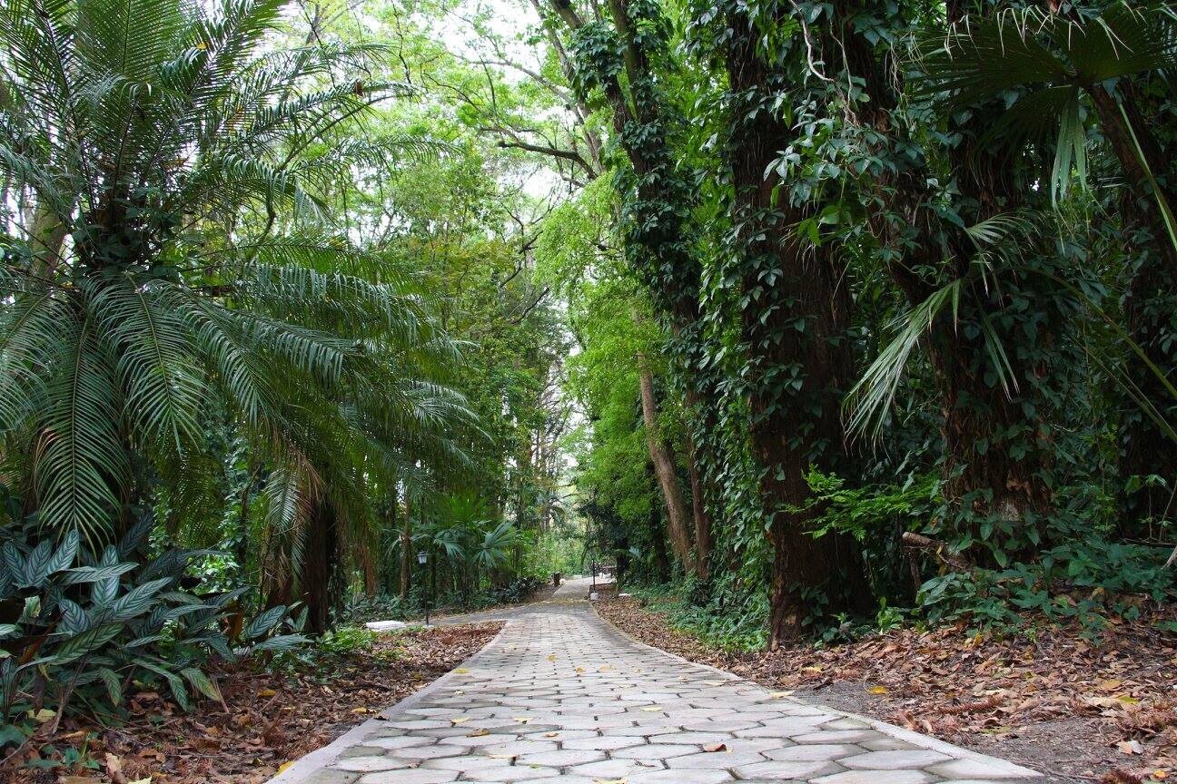 Educativa celebra Semana do Meio Ambiente em Mogi Mirim