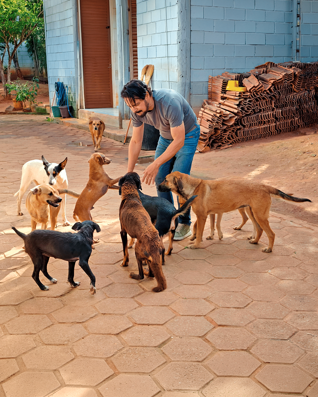 EM MOGI-GUAÇU BEA AMPLIA CUIDADO ANIMAL