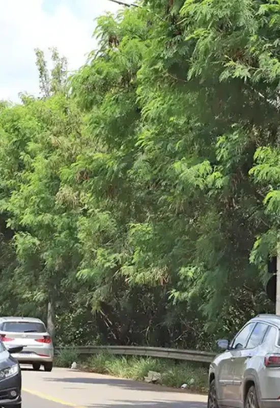 Interdição na Nagib Chaib neste sábado